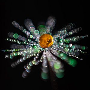 Orangefarbener Tropfen auf einem Fussel
