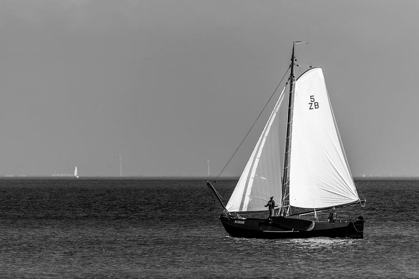 Zeilschip Robbe op het Markermeer von Jack Koning