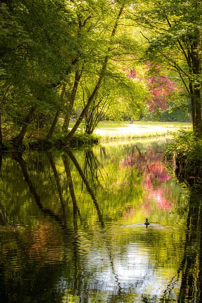 Rivier landschap met een watervogel van Anita van Gendt