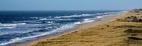 Beach walk in winter at the North Sea