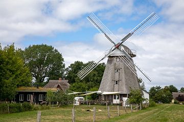 Windmolen in Ahrenshoop (Fischland/Darß) van t.ART