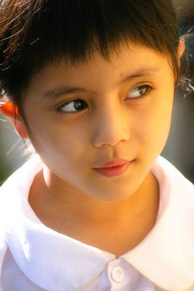 Kleines vietnamesisches Mädchen von Gert-Jan Siesling