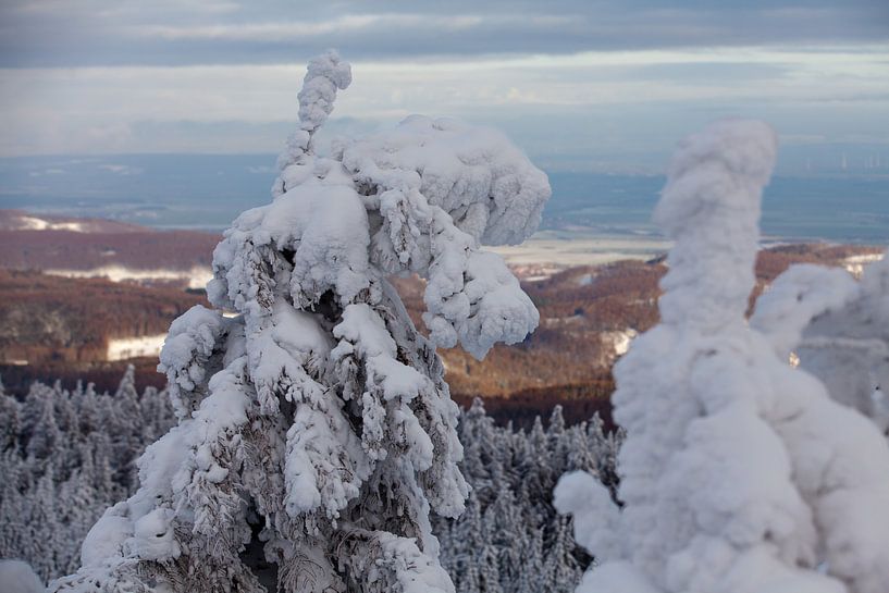 Winter landscape in the Harz Mountains by t.ART
