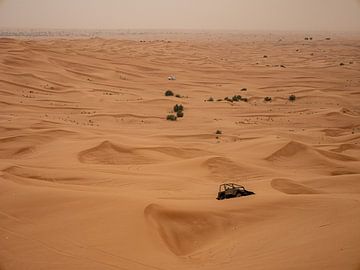 Jeep en autowrak in woestijn Dubai van Moniek van Rijbroek