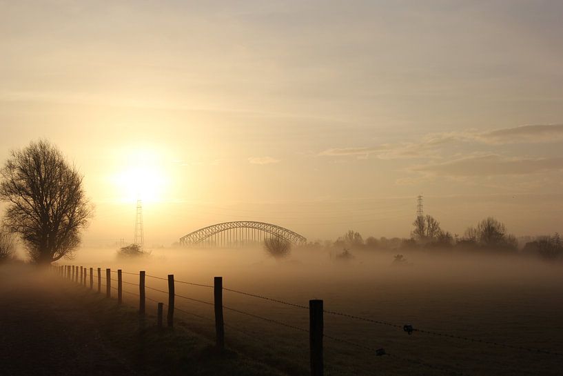 Mistige Uiterwaarden Oosterbeek by Maarleveld Fotografie