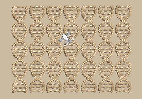 Anunnaki DNA Spacecraft beige-brown