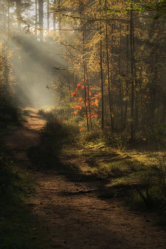 Herfst