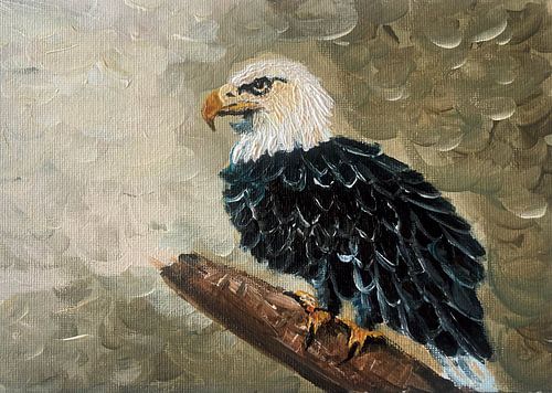 Zeearend schilderij van Krista Kitsz Art