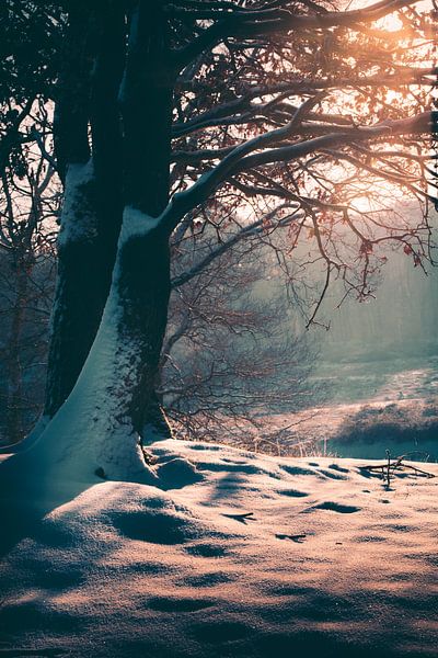 Verträumter Winter ❄️ von Rik Hurk