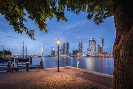 Ligne d'horizon de Rotterdam Veerhaven avec le pont Erasmus sur Niels Dam