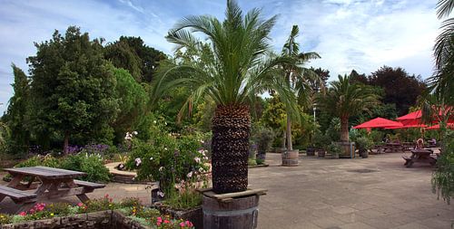 Panorama Rombergpark