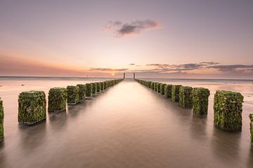 Between the lines van Louise Poortvliet