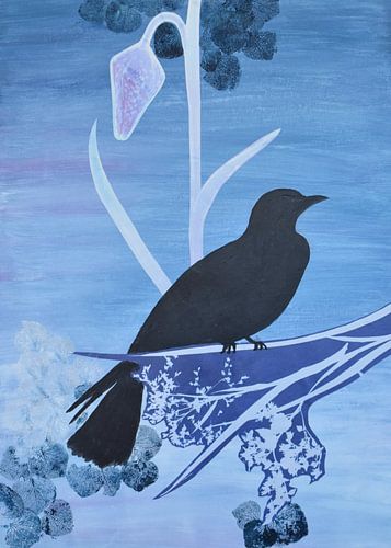 Blue black bird