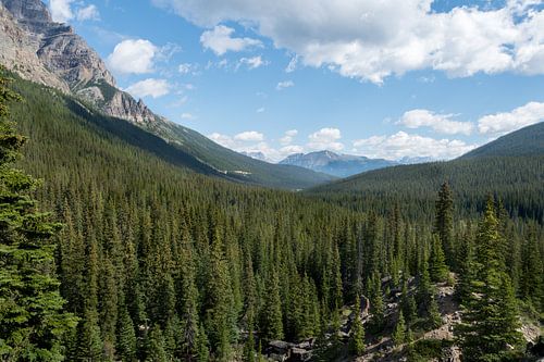 Canadian Rockies valley