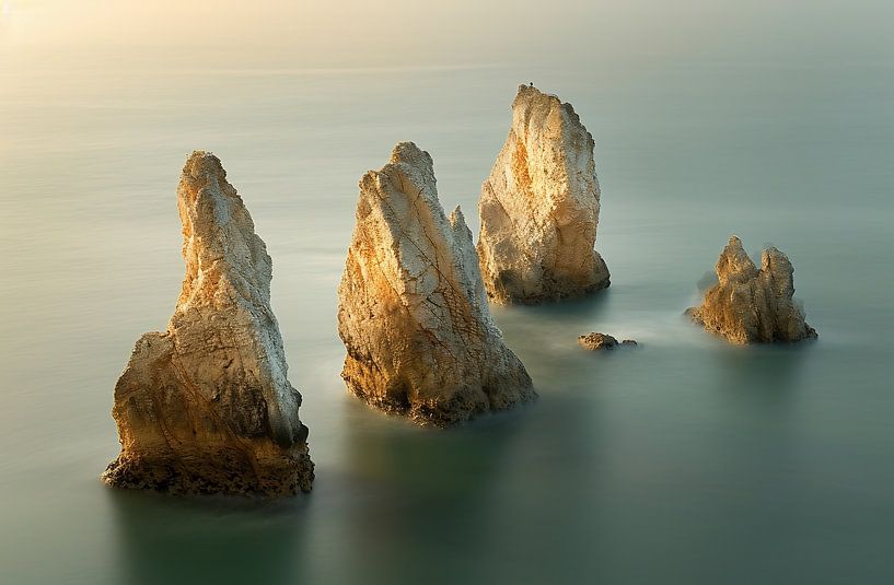 Nieuw-Zeeland van bovenaf van fernlichtsicht