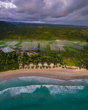 Tropische Küste mit Reisfeldern in Indonesien von Ewold Kooistra