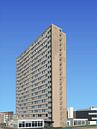010. IBB van Domstad Rudie thumbnail