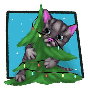 Chaton de Noël sur Antiope33