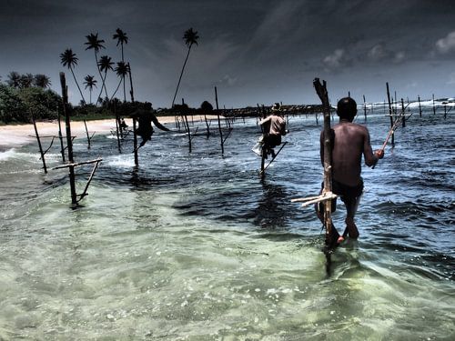 Sri Lanka, traditionele paalvissers