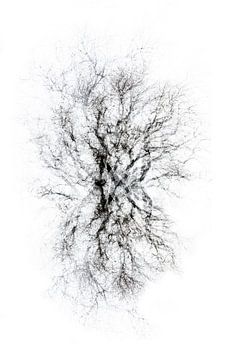 Abstrakte Collage eines Baumes in Schwarz-Weiß