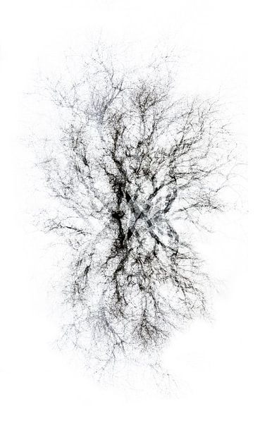 Collage abstrait d'un arbre en noir et blanc par Marianne van der Zee
