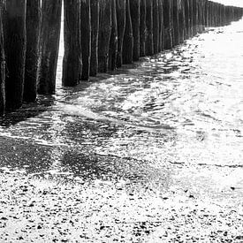 Strandpalen rij in het water van Manon van Bochove