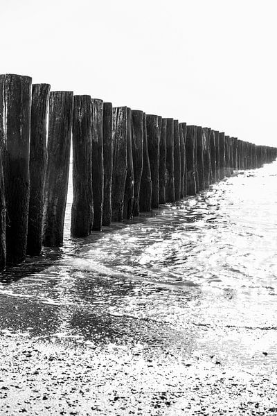 Beach posts row in the water by Manon van Bochove
