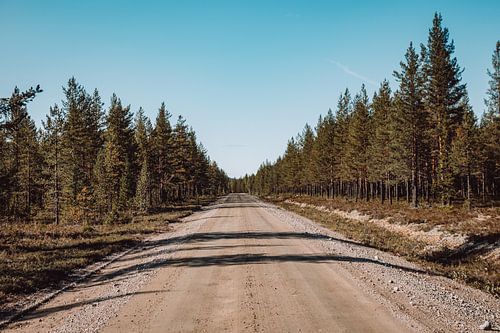 Eindeloze weg in Zweeds Lapland | Zweden | Reisfoto