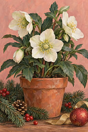 White Christmas rose in a terracotta pot – winter gouache by Albert Klee