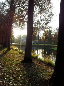 Zonnestraal