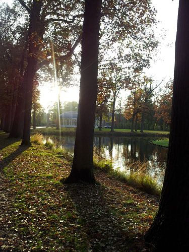 Zonnestraal