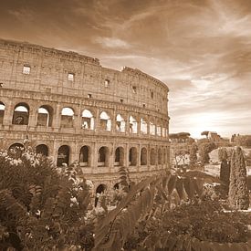 Eternal echoes's of Rome (Colosseum ) by Jose Lok