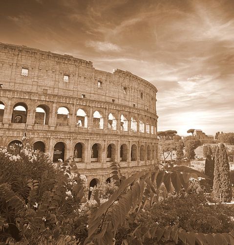 Eternal echoes's of Rome (Colosseum )