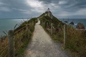 Leuchtturm Nugget Point, Flachland von Ahuriri, Neuseeland - 10. Januar 2020 : Der Leuchtturm Nugget