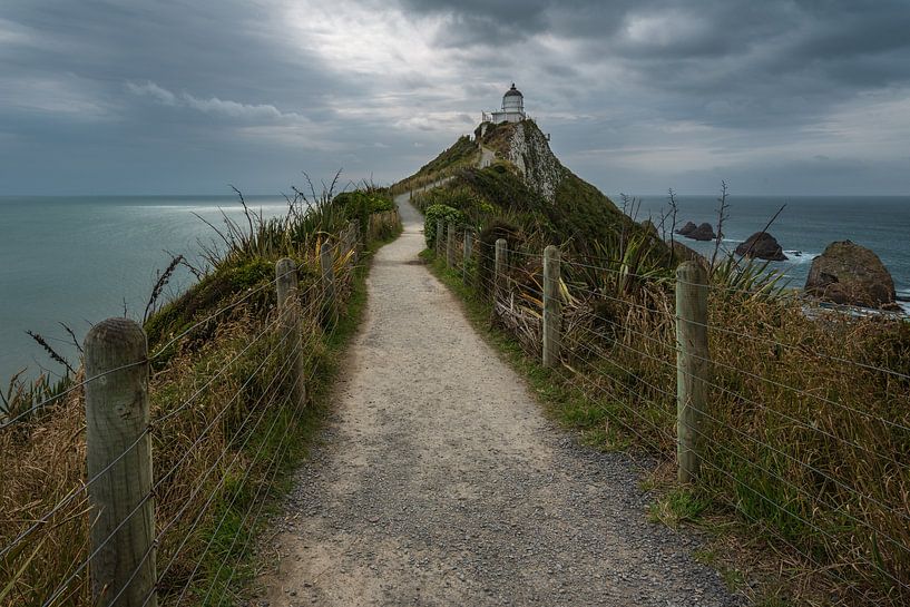 Nugget point lighthouse, Ahuriri flat, New Zealand - January 10, 2020 : The Nugget Point lighthouse  by Anges van der Logt