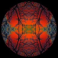 Hemisphäre 7
