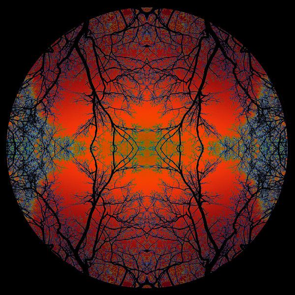 Hemisphäre 7 von Sandra Marcus
