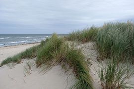 Grijze lucht van Ostsee Bilder