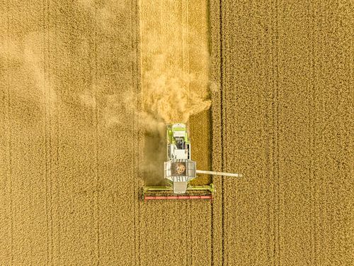 Combine die tarwe oogst in de zomer, van bovenaf gezien