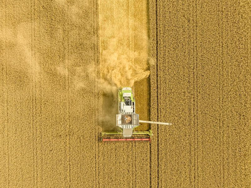 Combine harverster harvesting wheat during summer seen from above by Sjoerd van der Wal Photography