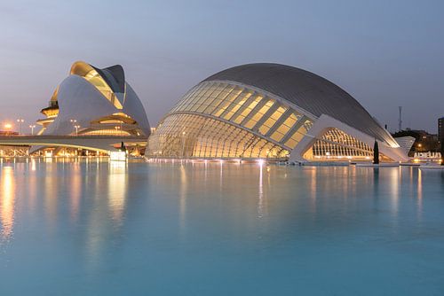 Palau de les Arts Reina Sofía und Ciudad de las Artes y las Ciencias von Jacob Kooistra