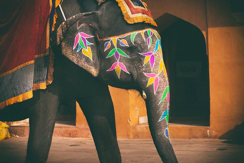Farbige Elefanten in Jaipur von Fulltime Travels