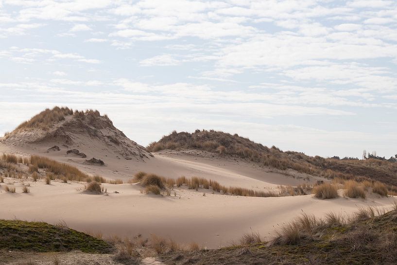 Deux sommets de dunes dans le magnifique Meijendel par Bas Ronteltap
