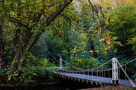 Pont à Sonsbeekpark sur Mischa Verhoeven