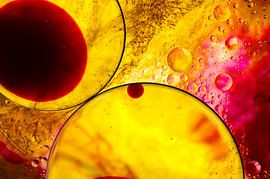 Cellules rouge, orange, jaune sur angelique van Riet