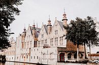 Brugse Vrije in Brugge van Lidushka thumbnail