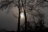 Silence dans le Gerendal