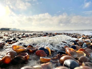 Foam shells sea (schuim zee schelpen strand) van Ellen Westerink