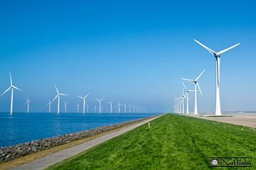 Windmolens tussen Urk en Lemmer by Nathalie den Besten