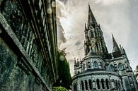 Saint Fin Barre's Cathedral in Cork, Irland von Paul van Putten Miniaturansicht